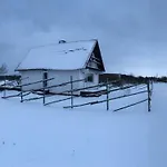 Seaside Koiguste
